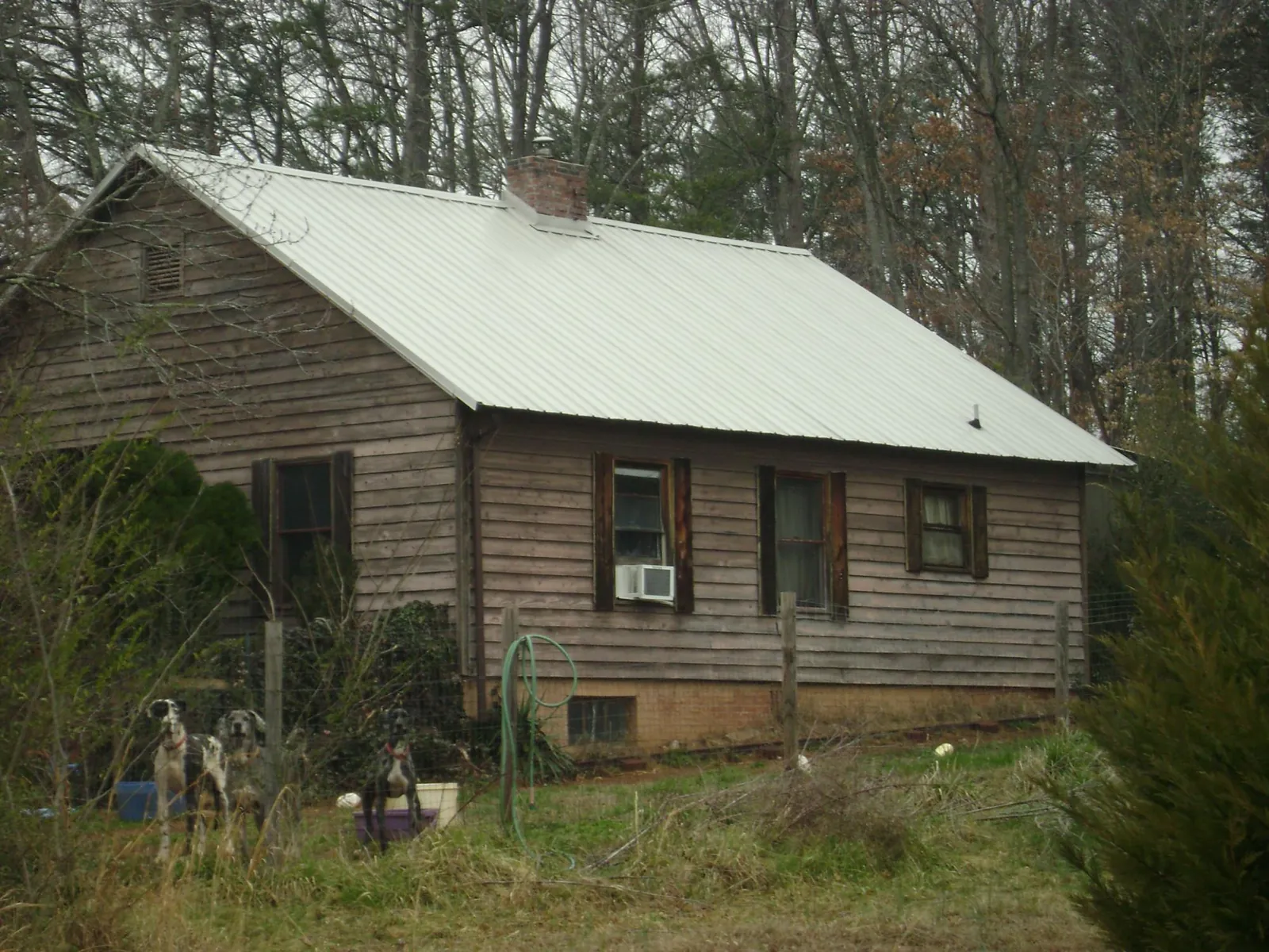 White metal roof on an old wood sided farmhouse, from a Asphalt Shingle Roof Repair job in Rillito